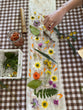 NATURAL DYEING WORKSHOP